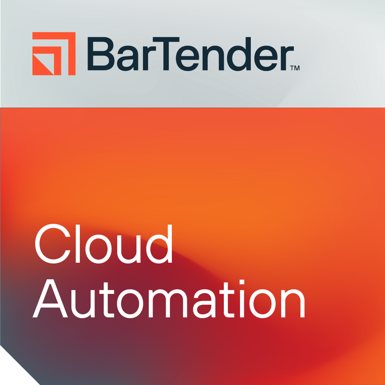 BarTender Cloud Automation